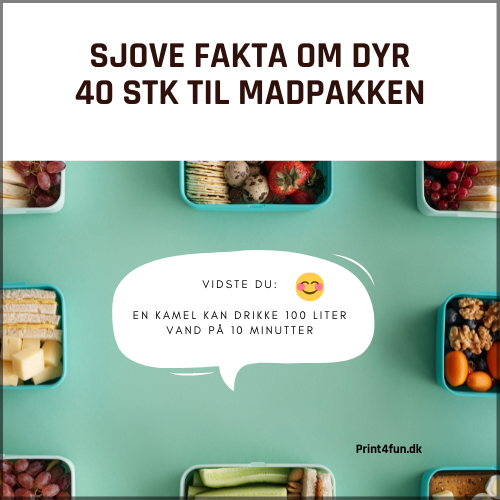 Madpakke jokes - Sjove facts om dyr